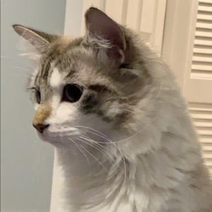 Meet your Posher, Michael